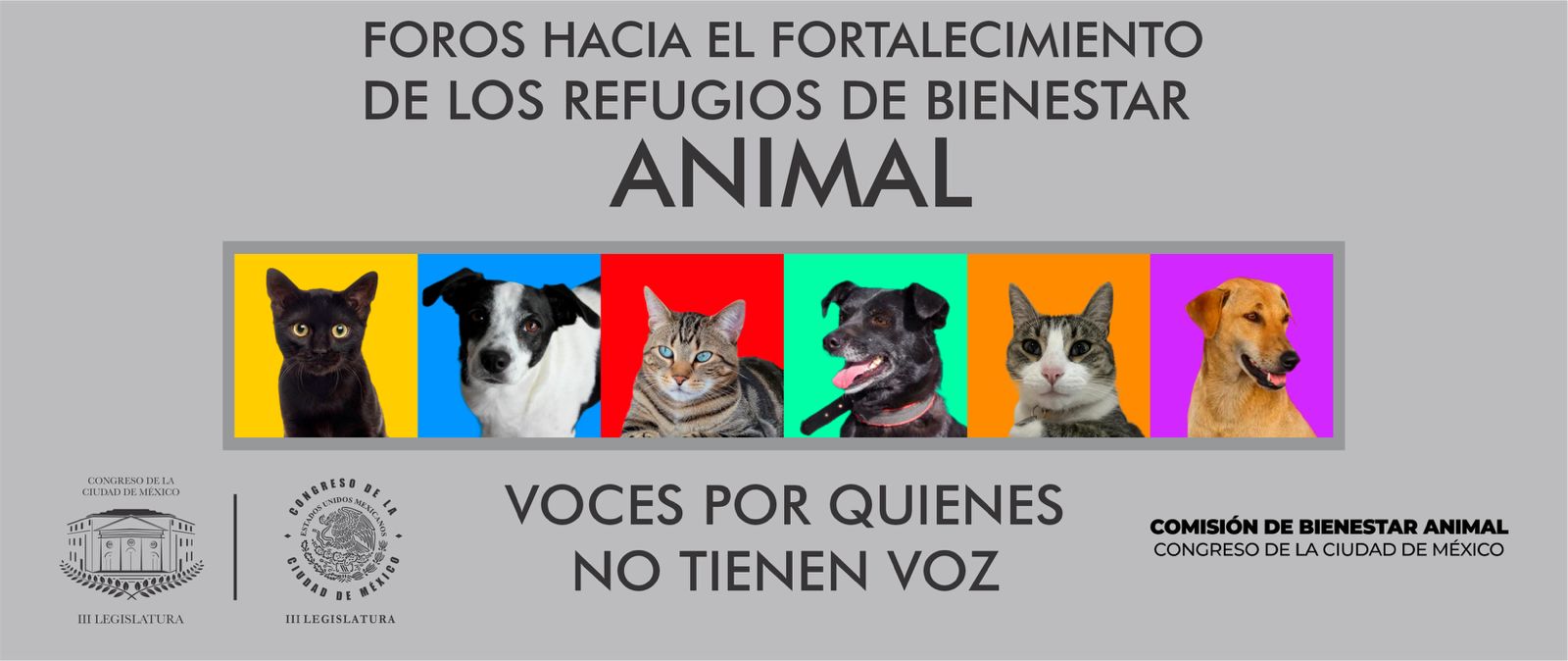 Portada del sistema público de cuidados de la Ciudad de México